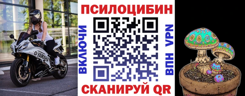 Галлюциногенные грибы Cubensis  закладки  Печоры 
